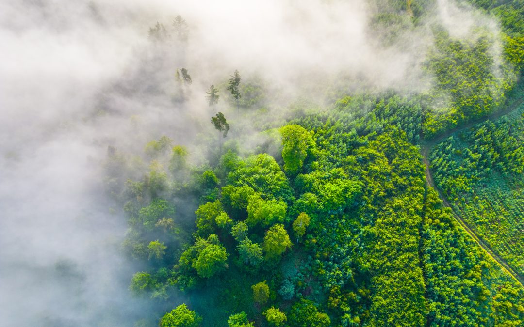 Good Work Isn’t Good Enough